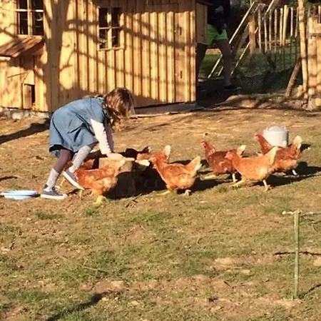 بيت للعطل Chasse Gardee بروفونديفيل