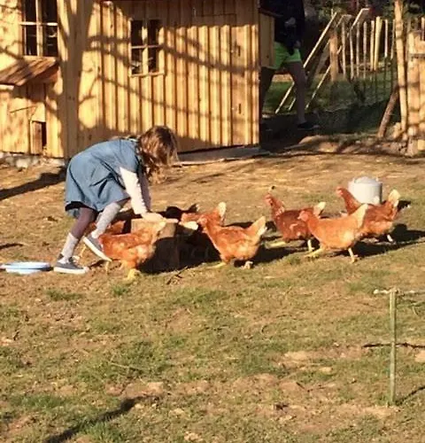 Дом отдыха Chasse Gardee Профондвиль